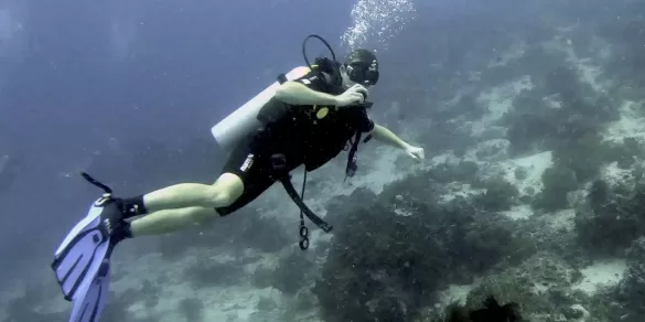 A person scuba diving in Raja Ampat